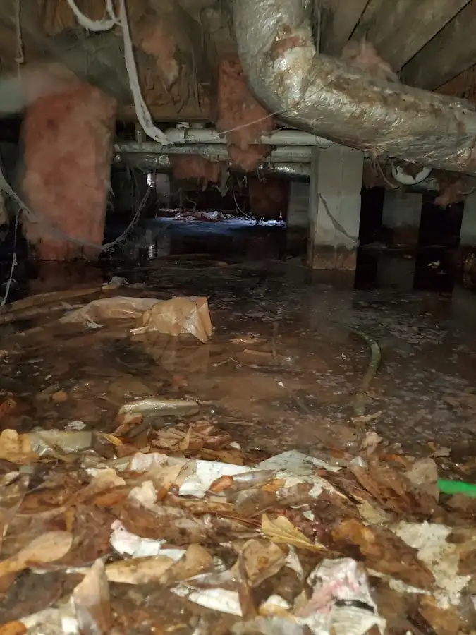 Crawl space flood assessment for Leak Detection & Repair in Maili